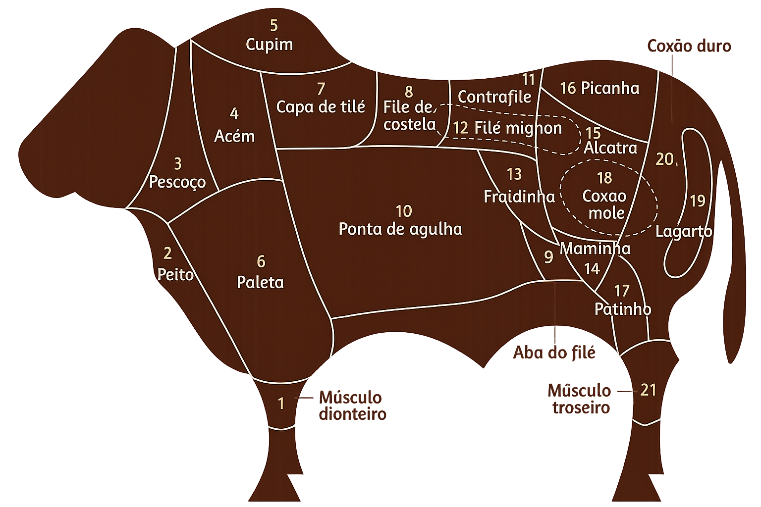 Mapa dos cortes bovinos