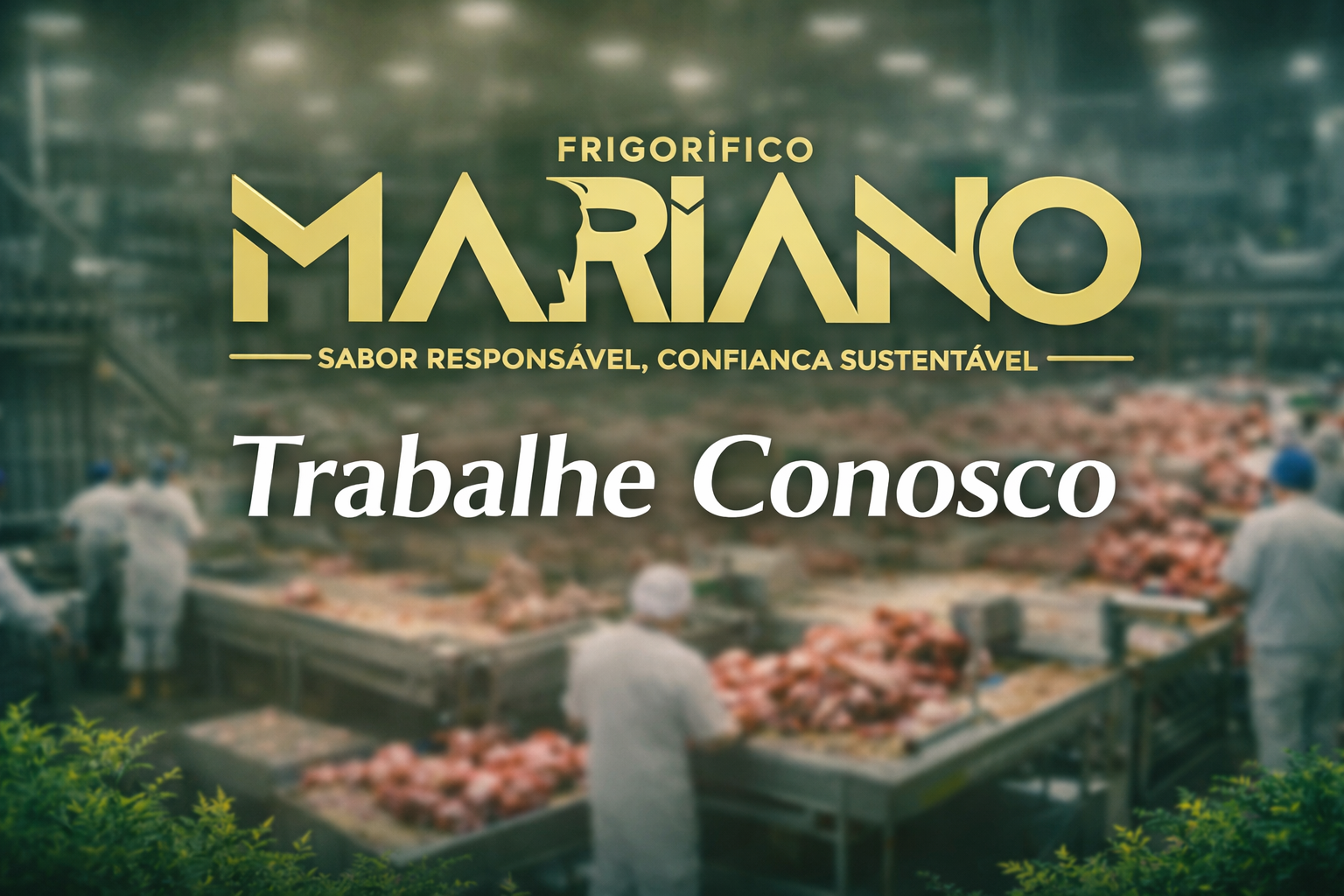 Controle de qualidade do Frigorífico Mariano